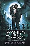 Waking the Dragon (Vale of Stars)
