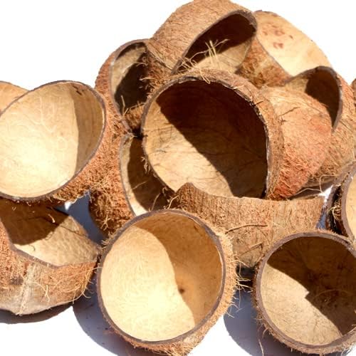 1Ders Natural Eco-Friendly Unpolished Coconut Shell (Standard Size Pack of 30 Pieces) / Decorative Pots/Showpieces/Handicraft/Agro Craft for Cooking, Making Charcoal, Barbeque (B0CM6TWPJJ) Amazon Price History, Amazon Price Tracker