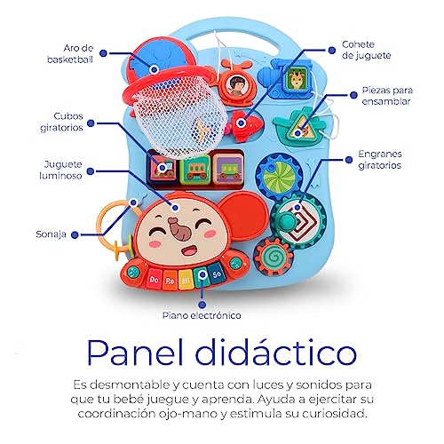 Andaderas, Drugstore andadera Marca Raganet (3)