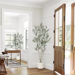 ROOMTEC 2 Pack Artificial Olive Tree 6ft, Faux Olive Tree with White Planter and Fake Moss, Olive Trees Artificial Indoor, Potted Plants Artificial Decor Realistic Trunk and Leaves for Home (2, 6 FT) ROOMTEC 2 Pack Artificial Olive Tree 6ft Faux Olive Tree with White Planter and Fake Moss Olive Trees Artificial Indoor Potted Plants Artificial Decor Realistic Trunk and Leaves for Home 2 6 FT