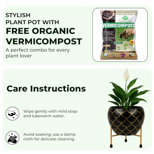 Image of Natural Earth Metal Flower Vase Planter Pot with Iron Stand | Decorative Plant Cachepot for Indoor & Outdoor Use | Succulent Pot for Home & Garden Decor (Black Gold Nest)