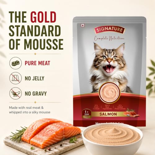 Image of Grain Zero Adult Cat Wet Mousse 80g Pack of 5, (400g) | Salmon Flavour | Rich in Protein | Hydrating & Easy to Digest | No Artificial Flavours | Packed with Essential Vitamins & Antioxidants