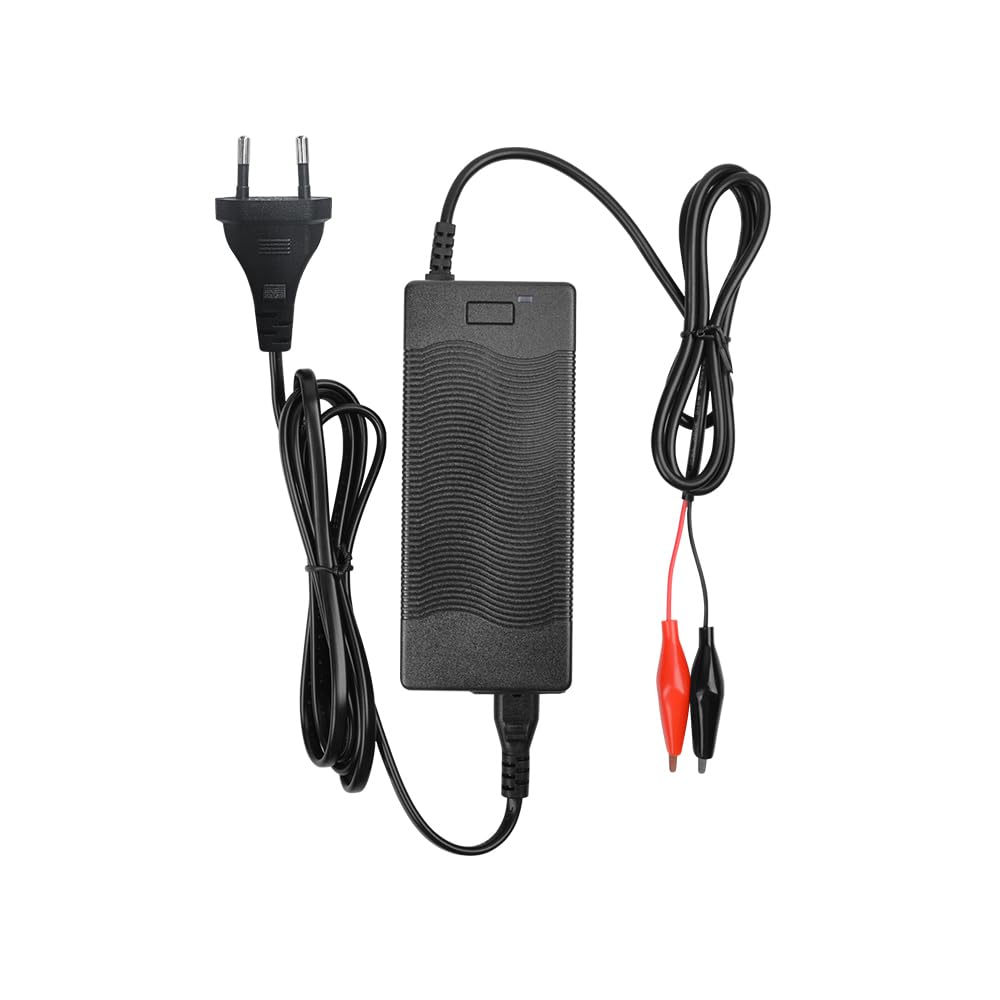 Batterie LiFePO4 12 V 36 Ah au lithium phosphate de fer pour camping bateau caravane solaire