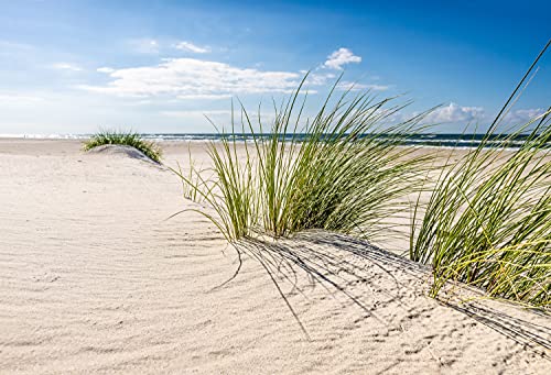 VLIES Fototapete-250x186 cm-STRAND-(PF4620)-Nordsee Ostsee Ozean Sand Meer...
