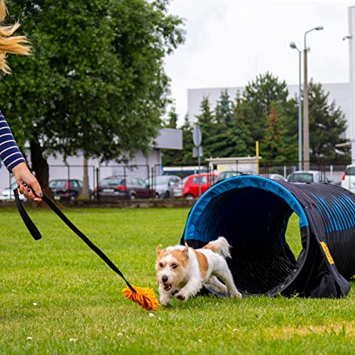 Dingo Mop auf länge Band 130 cm Agility Apporte Motivation Spiel mit Hund Zerrspielzeuge Training perfekt Farbmix 15577