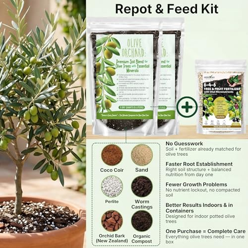 Kit Repot & Feed con suelo y fertilizante orgánico miniatura 2