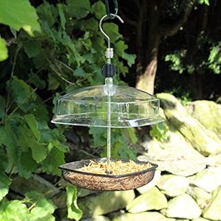 Garden Mile® Bird Feed Seed Hanging Nut Seeds Bird Feeder Suet Cake Fat Balls Outdoor Garden Patio Perfect For Garden Wild Birds Wildlife Food (Hanging Mealworm Canopy Bird Feeder)