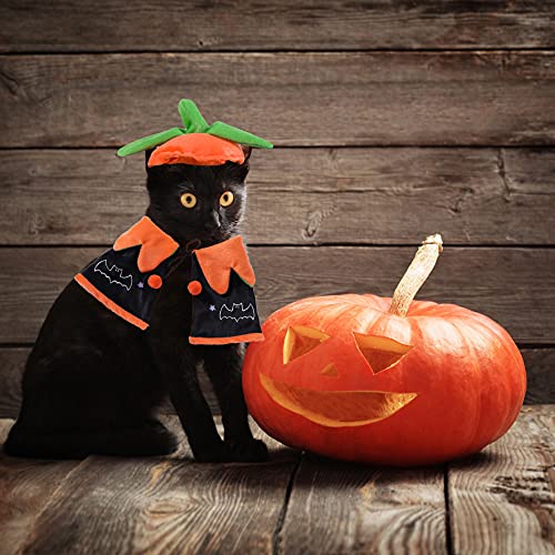 Halloween Cat Costume Cat Pumpkin Hat Pumpkin Cat Cloak Cape Cat Halloween Accessories Pet Costumes for Cats Cosplay