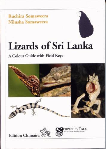Chimaira Lizards of Sri Lanka (inc.keys)