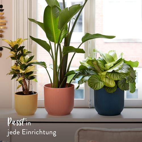 elho Vibes Fold Rund mit Selbstbewässerungssystem - Blumentopf für Innen - 100% Recycelter Kunststoff - Ø 18 cm - Zartrosa – Ansicht 6