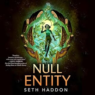 Null Entity cover art