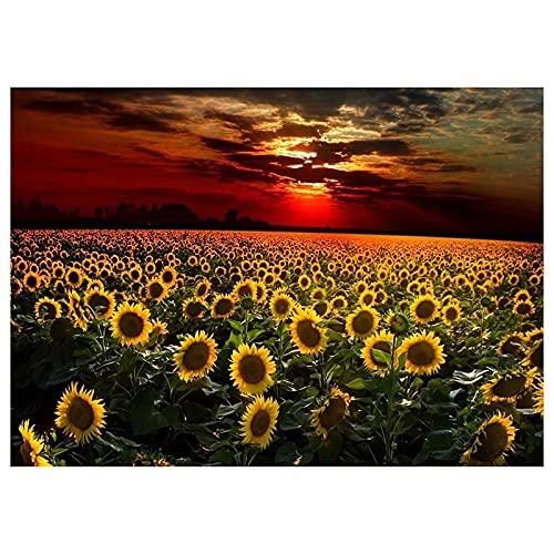 Grand Diamond Painting Tournesol 5D - Le Cadeau Idéal pour Passionnés de Loisirs Créatifs
