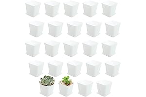 OJYUDD: Enhancing Plant Care with White Square Plastic Pots