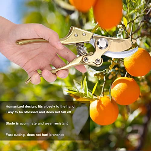 Tijeras de podar para jardín con acero al carbono miniatura 5