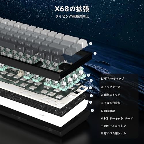 MAMBASNAKE ATTACK SHARKxMAMBASNAKE X68 HE の商品画像 5