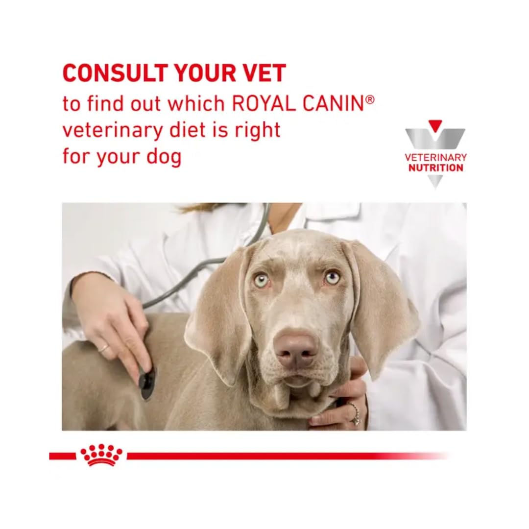 Royal Canin Veterinary Gastrointestinal Low Fat Mousse | 12 x 200 g | Alimento Completo dietético para Perros Adultos | Puede Ayudar a una digestión Saludable