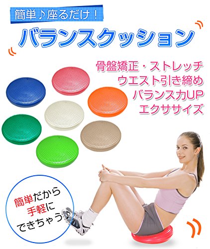 ブランドこだわり一番館 バランスクッション の商品画像 1