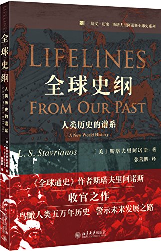 全球分裂：第三世界的历史进程（上下册）