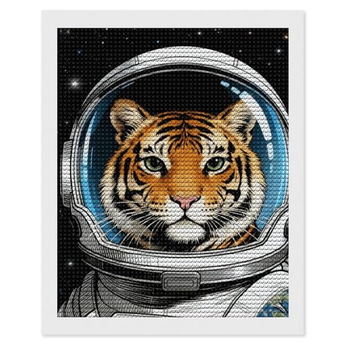 Peinture diamant maccbn kit anti-stress adulte toile 5D facile