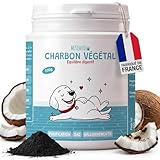 Charbon Végétal Actif Chien Chat - Digestion Ballonnements Gaz - Détox Naturelle Système Digestif - Constipation Diarrhée - 100g Poudre - 100% Naturel - Fabriqué en France
