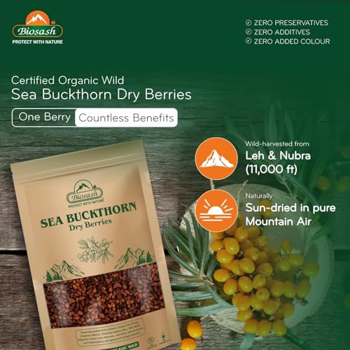 Image of Biosash Sea Buckthorn Dry Berries 100g - Sun Dried Seabuckthorn Berries With Vitamins, Antioxidants, Natural Dried Sea Buckthorn Berry, Omega 3 6 7 & 9 | Helps in immunity, Heart, Liver health