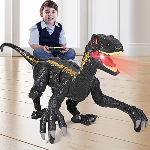 FRUSE Jouet dinosaure télécommandé pour enfants, 2,4 GHz R/C robot marcheur jouet avec lumière et son, simulation électronique velociraptor jouets pour enfants de 3 ans et plus Cover