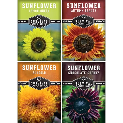 Survival Garden Seeds Decorative Sunflower Collection & Seed Vault - Autumn Beauty, Dwarf Sungold, Chocolate Cherry, Lemon Queen Sunflower Seeds - Non-GMO Heirloom for Planting & Growing