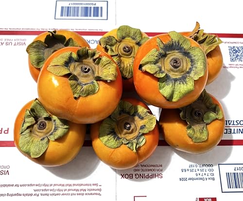 2 Pounds, Certified Organic Fuyu Persimmons from Southern Califor...