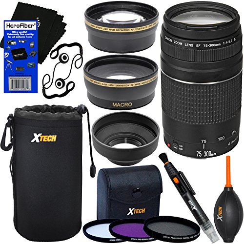 Canon EF 75-300mm f/4-5.6 III Telephoto Zoom Lens for SLR Cameras (International Version)