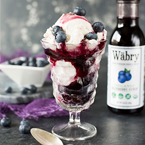 Image of Wabry Organic Syrup 14.9 oz Chocolate Hazelnut, Strawberry, Blueberry, Peach (Variety 4 Pack) BPA-Free Plastic