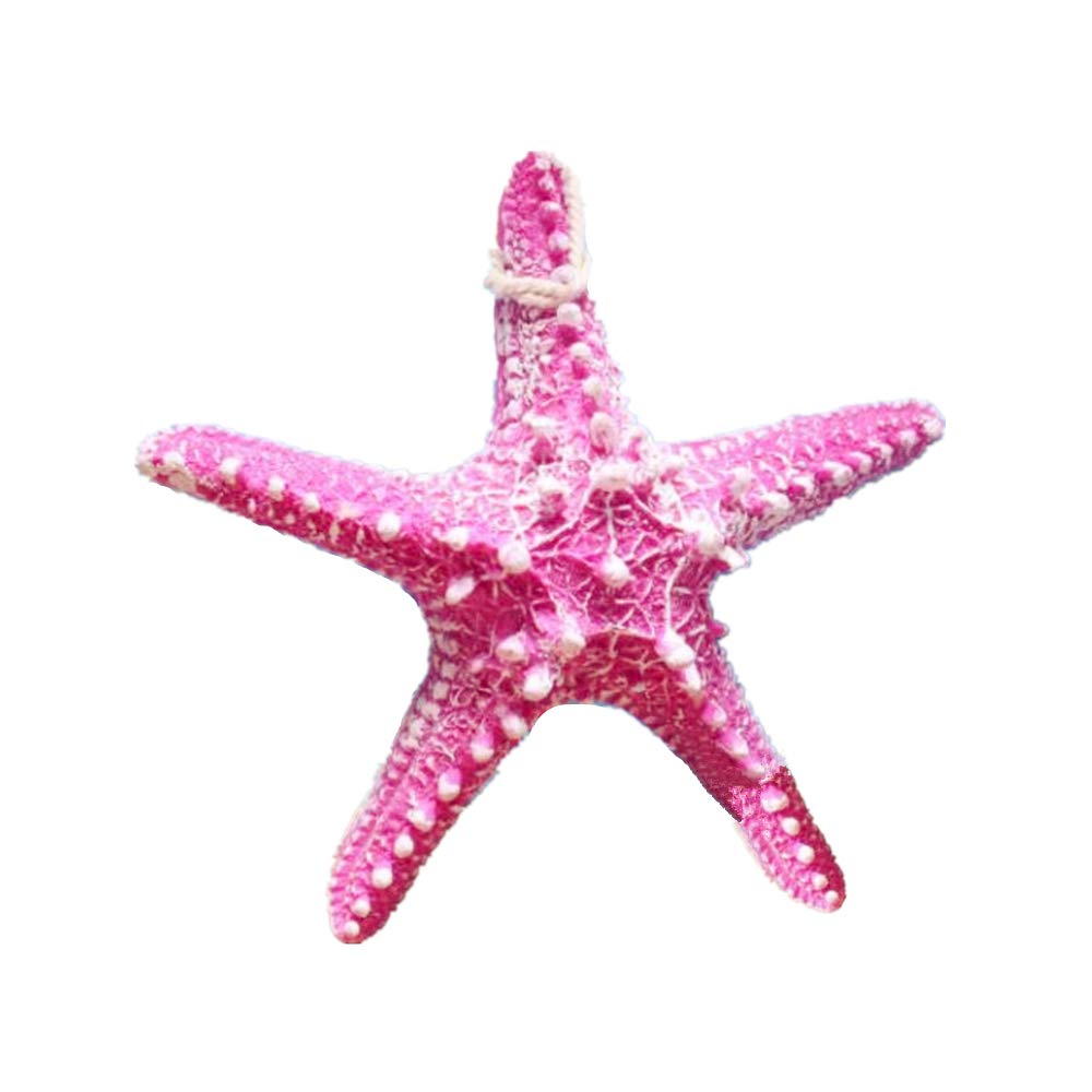 RAYLINE-DO Creative Mediterranean Style Design Beach Starfish Resin Five-Pointed Star Home Restaurant Kindergarten Wall Hanging Decoration Pink CTJZ21-SF13-ROSE
