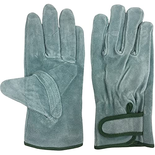 [ACE] G[XO[u IC}WbN LLTCY AG458