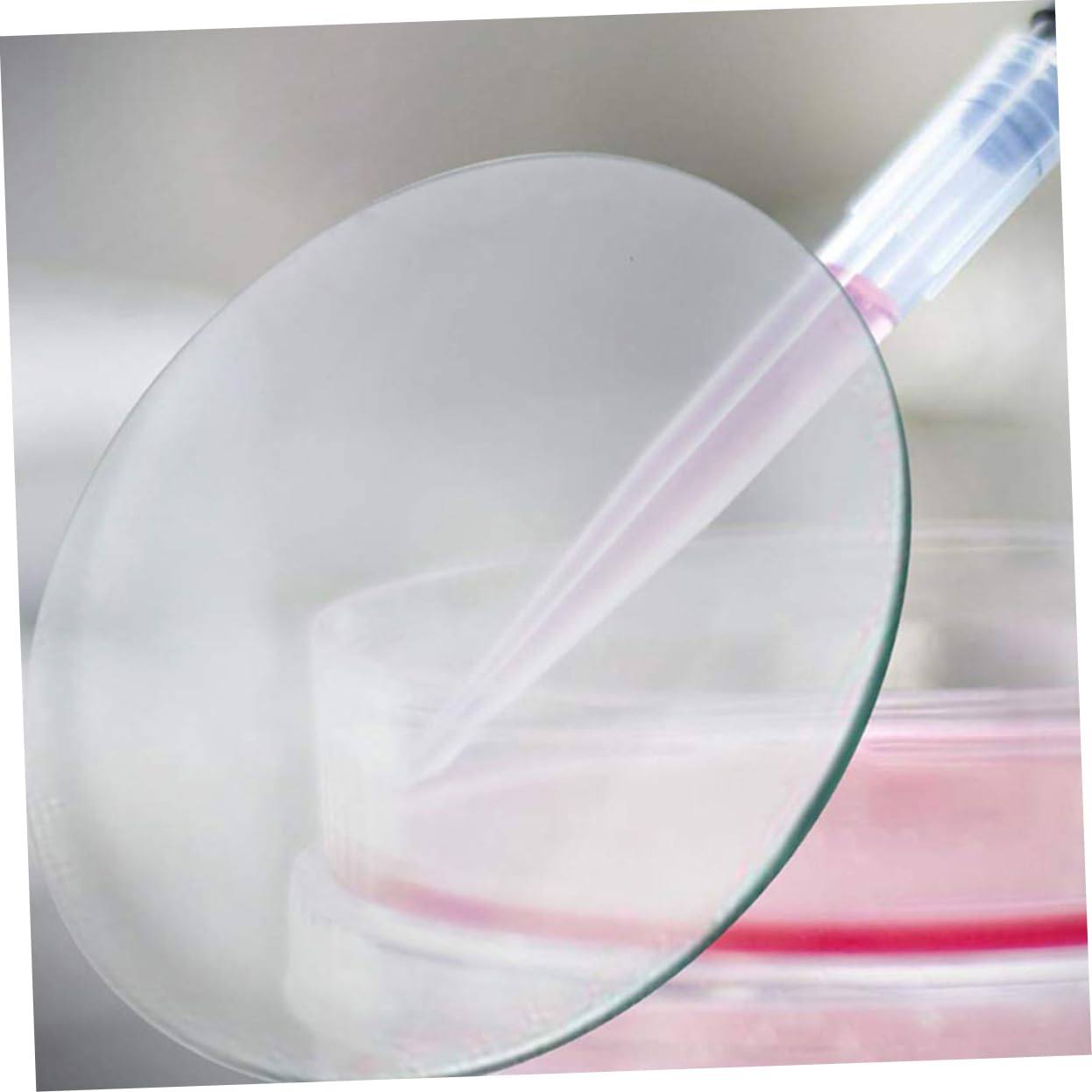 10pezzi Vetri da Orologio da Laboratorio Trasparenti e Rotondi per Esperimenti Scientifici e Uso in Istituti di Realizzati in Materiali di Vetro Sicuri e Durevoli Resistenti
