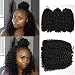 6 piece Flyteng 8 inch Marlybob Kinky Curl crochet hair extensions black color crochet braids Marlybob crochet hair Curly weave hair synthetic Braiding hair…