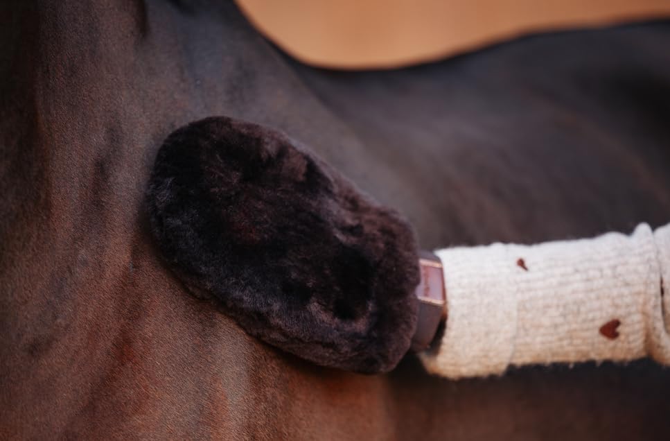 Equimour Lammfell-Putzhandschuh für Pferde – weicher Fellhandschuh zur sanften Pflege empfindlicher Stellen – entfernt Staub, poliert das Fell & eignet sich ideal Auftragen von Pflegeprodukten