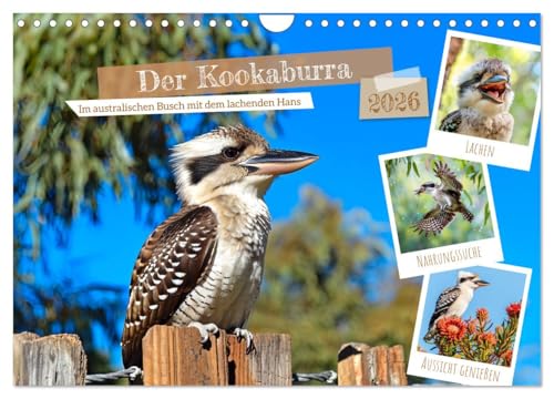 Der Kookaburra - Im australischen Busch mit dem lachenden Hans (Wandkalender 2026 DIN A4 quer), CALVENDO Monatskalender: KI-generierte Einblicke in das Kookaburra-Leben im Outback (CALVENDO Tiere)