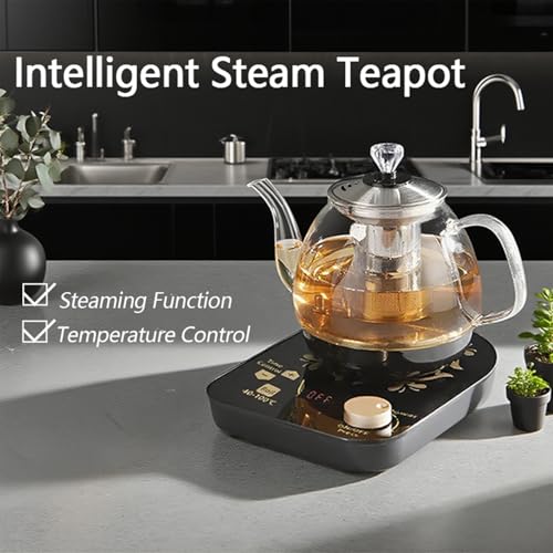 Tetera eléctrica multifuncional de vidrio 800ml miniatura 3