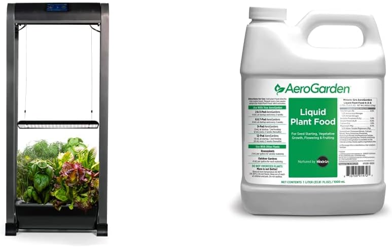 elegans plant Parlor Palm Neanthe Bella Palm main image 0
