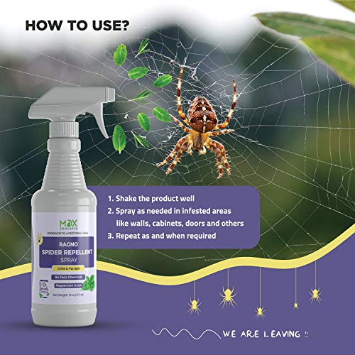 mdxconcepts Organic Spider Repellent Spray - Peppermint Oil - MADE IN USA - 16oz Natural Outdoor/Indoor Spray for Spiders, Insects and More - Long Lasting -Non Toxic - Thumbnail 6