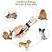 Ceenwes Dog Clippers Low Noise Pet Clippers Rechargeable Cordless Dog Trimmer Pet Grooming Tool Professional Dog Hair Trimmer with Comb Guides Scissors Nail Kits for Dogs Cats and Other Animals