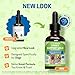 Pet Wellbeing Kidney Support Gold for Dogs - Supports Healthy Kidney Function, Fluid Balance, Energy Levels, Rehmannia, Dong Quai - Veterinarian-Formulated Herbal Supplement 2 oz (59 ml)