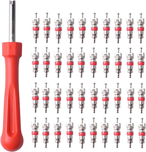 Poweka Removedor de Núcleo de Válvula con 100 Piezas Núcleos de Válvula para Coche Bicicleta Motocicleta, Herramienta de Reparación para Núcleo de Válvula de Neumático