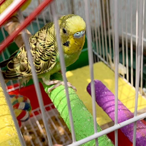 LIMIO Bird Perch Hamster Toys Parrot Stand 4PCS Rough Sand Wood Perch Bird Cage Accessories for Parakeets Supplies Budgie Natural Wood Platform