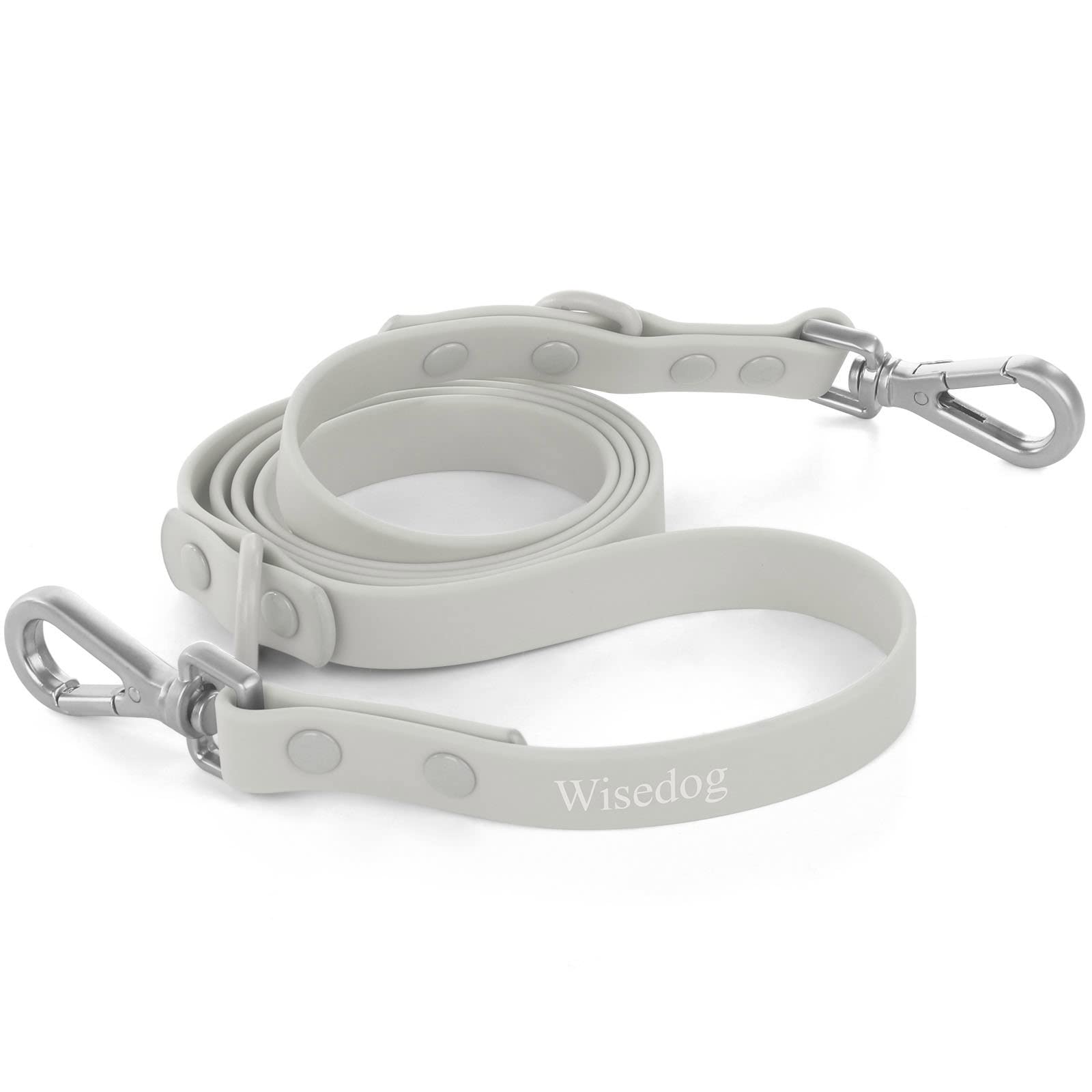 dog leash with 2 hooks