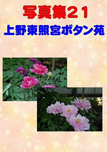 Photo Collection Ueno Toshogu Button (Japanese Edition)