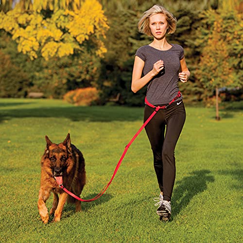 Ultrahund Adjustable 'Hands-Free' Jogging Belt, Red