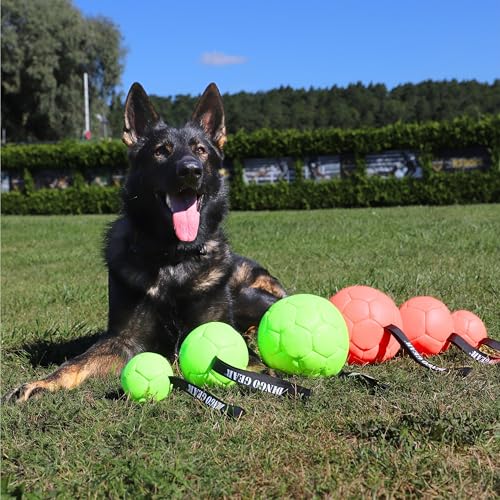 Dingo Gear Ball mit Schlaufe gefüllt vollball aus Eco Leder Durchmesser von 8 cm Hundespielzeug Trainings Ball Hundetraining Spaß für Hund Orange S02684