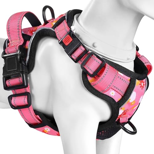 [2025ŐV^n[lX]BaoCheng p ^/^/^n[lX A^}ʂ h~ A^}ʂ P݌y TCY\ Ԕˍ Ȃ ʋC ȒPE  S p P s⏕ U 