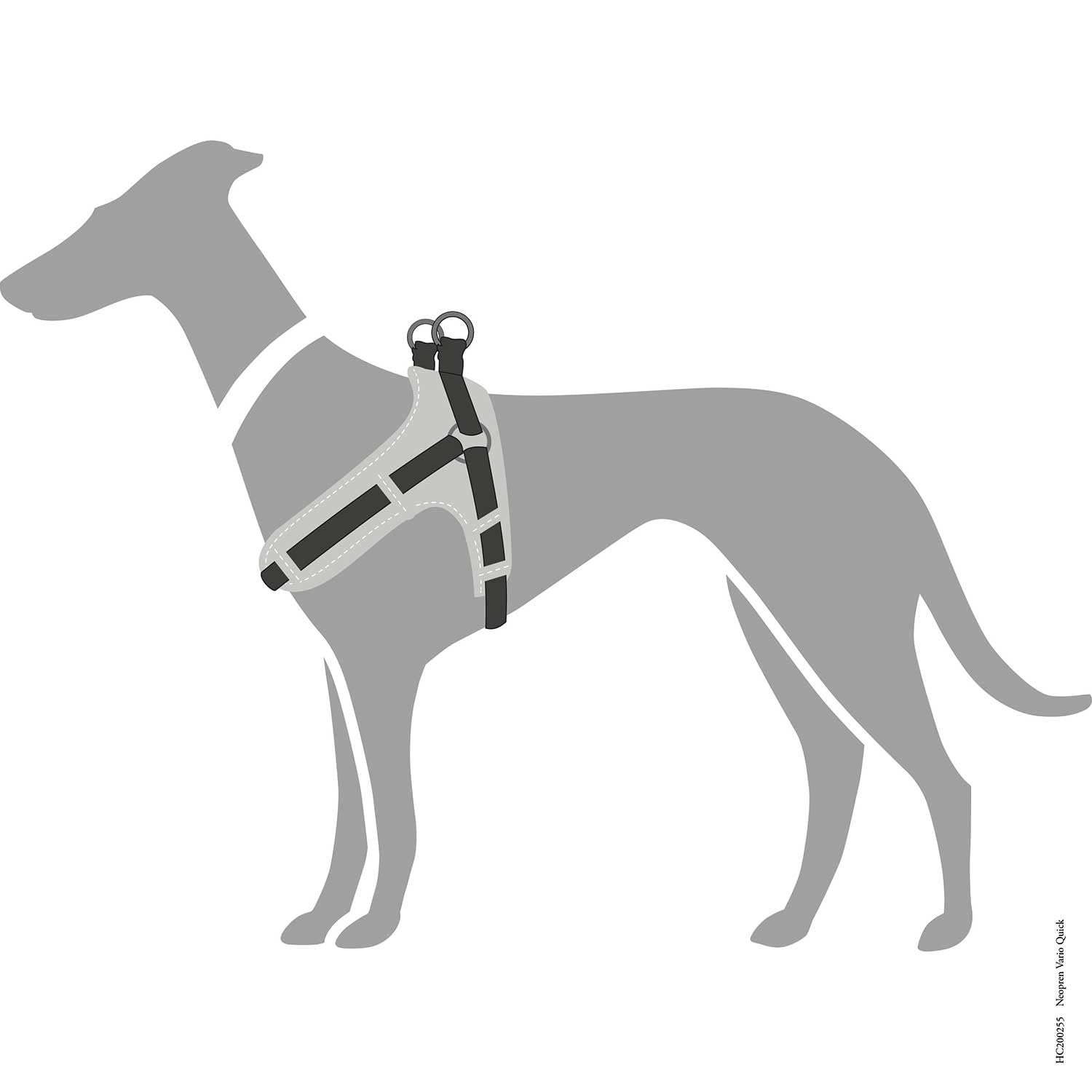 HUNTER Vario Quick - Arnés de Neopreno Grande, 67-80 cm, 25 mm, Negro/Gris
