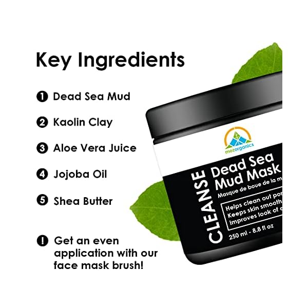 My Organic Zone Dead Sea Mud Mask for Face and Body - Best Facial Cleansing Clay for Blackheads, Whiteheads, Acne and Clogged Pores | Hydrates Skin & Improves Oily Skin (250g./8.8oz.) (Single)